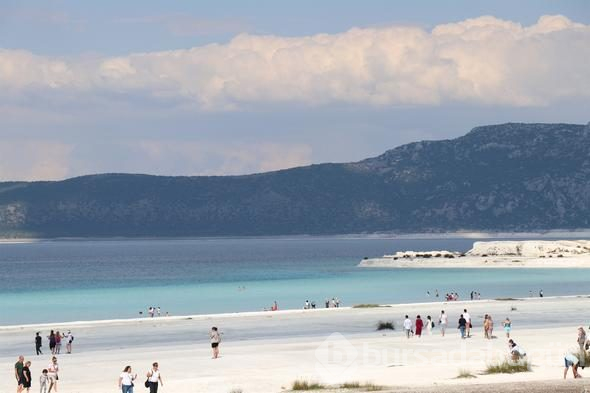 Türkiye'nin yeni gözdesi lavanta ve Salda
