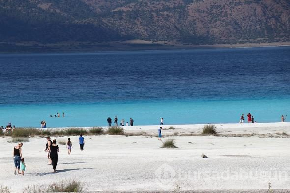 Türkiye'nin yeni gözdesi lavanta ve Salda
