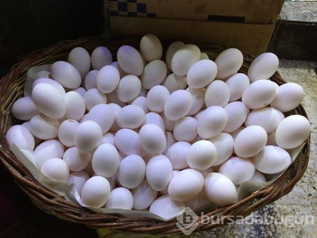 Yumurta kabuğunu fırına koyun sonra da fırında pişirin!