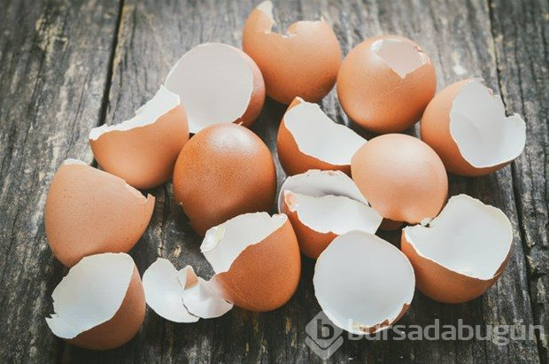 Yumurta kabuğunu fırına koyun sonra da fırında pişirin!