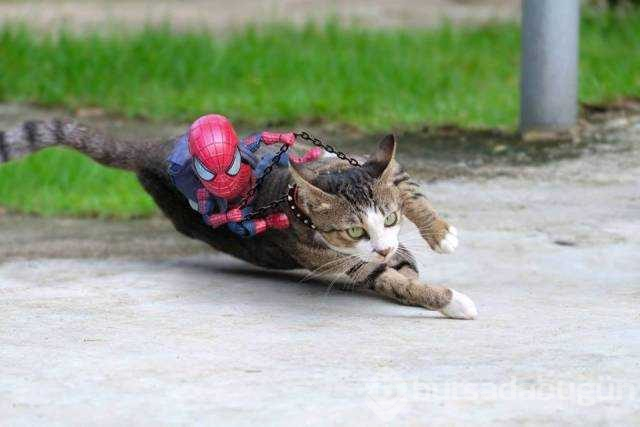 İşte bu günün en çok paylaşılan fotoğrafları
