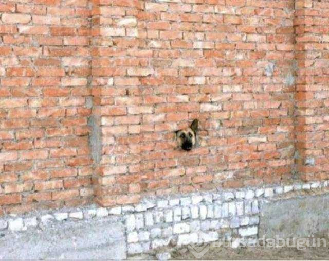 İşte bu günün en çok paylaşılan fotoğrafları
