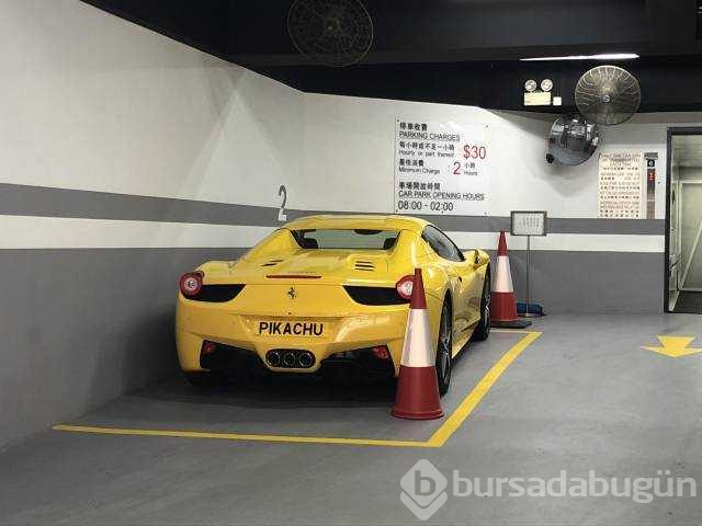İşte bu günün en çok paylaşılan fotoğrafları
