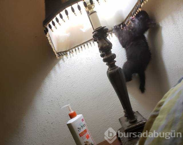 İşte bu günün en çok paylaşılan fotoğrafları
