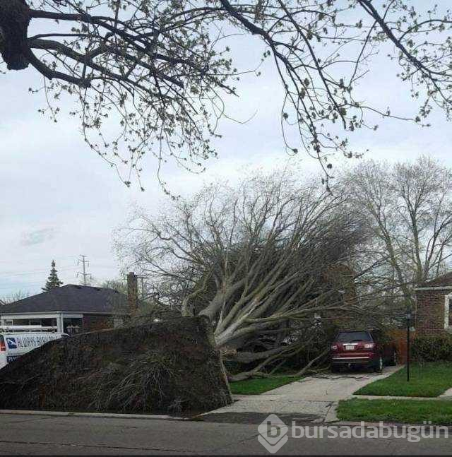 İşte bu günün en çok paylaşılan fotoğrafları
