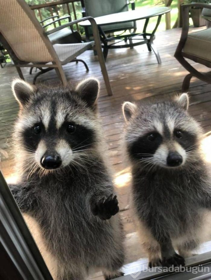 Sosyal medyada günün en çok paylaşılan fotoğrafları