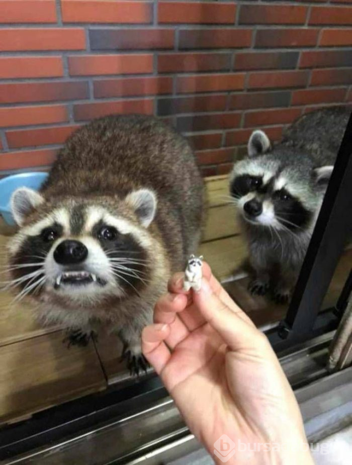 Sosyal medyada günün en çok paylaşılan fotoğrafları