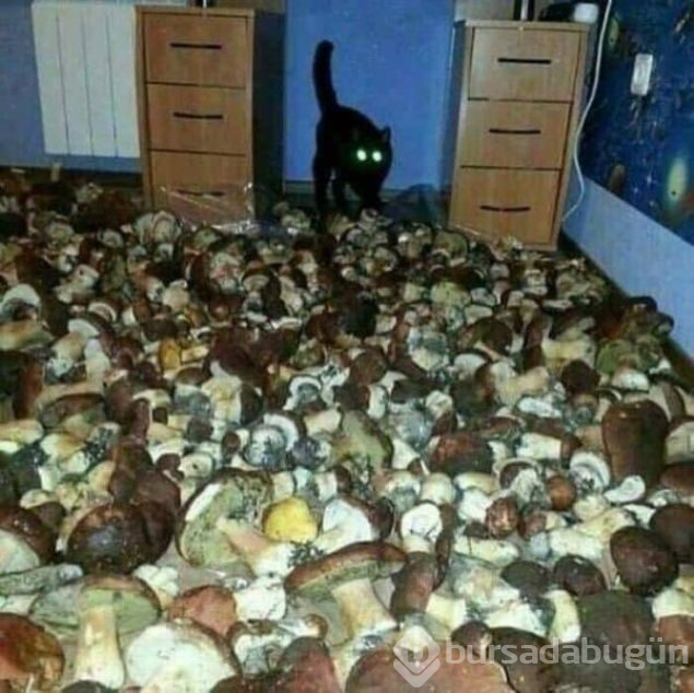 Sosyal medyada günün en çok paylaşılan fotoğrafları