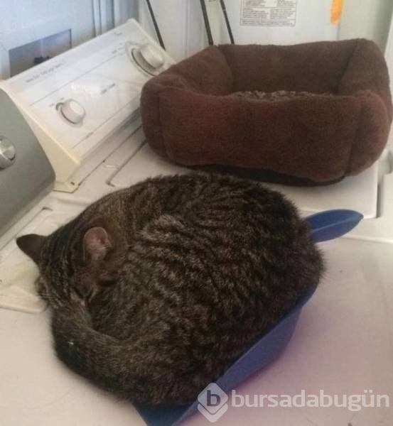 Sosyal medyada günün en çok paylaşılan fotoğrafları