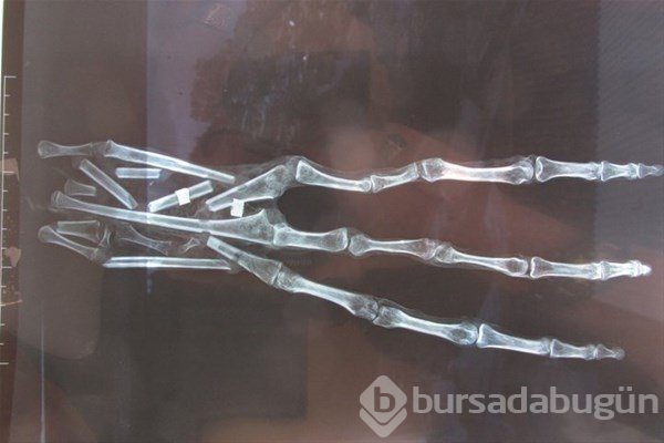 51. Bölge gerçeği! Uzaylılar var mı?