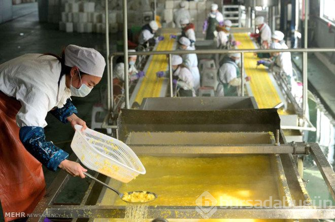 Dünyayı saran çin malı ürünler bakın nasıl üretiliyor