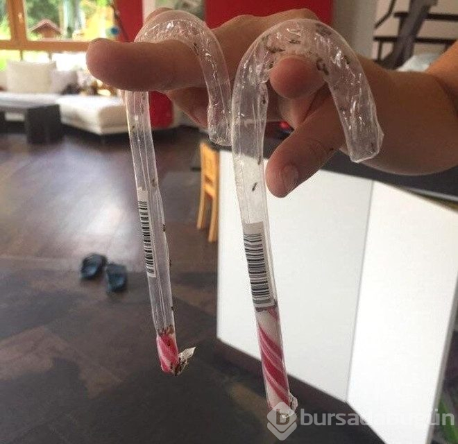 Ne olduğunu kimse tahmin edemiyor! işte "yok artık" dedirten ilginç fotoğraflar  