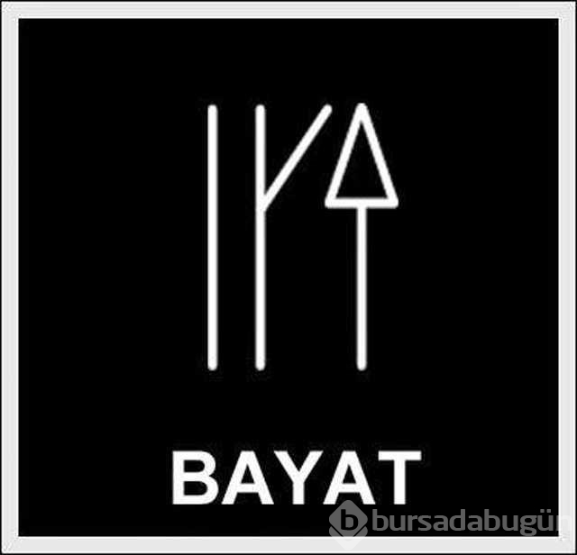 Türkler'in soy ağacının il il listesi!