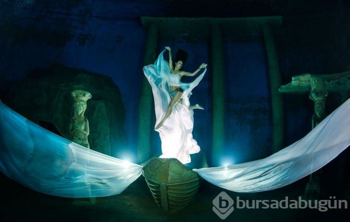Yılın en iyi su altı fotoğrafları