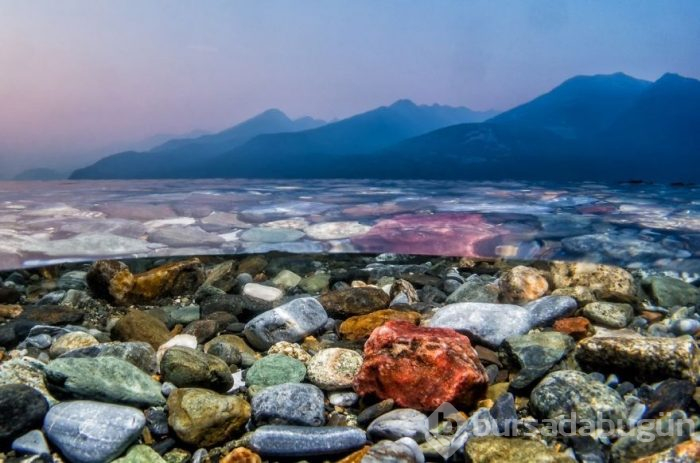 Yılın en iyi su altı fotoğrafları