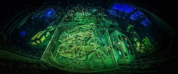 Yılın en iyi su altı fotoğrafları