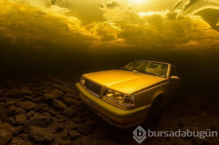 Yılın en iyi su altı fotoğrafları