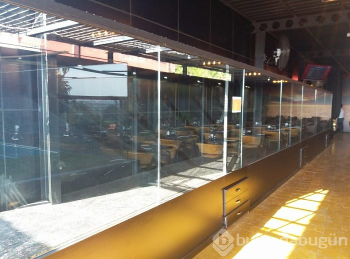Kafe hayvanat bahçesi çıktı! İşte bilinmeyen görseller