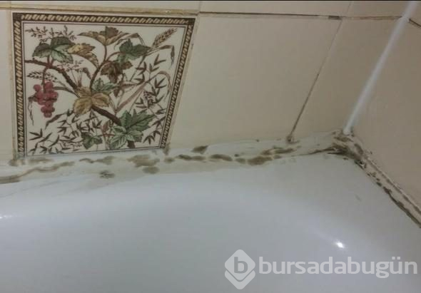 Skandal! Bu otele girenler sosyal medyada yorum yağdırdı!
