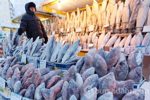Dünyanın en soğuk şehri: Yakutsk