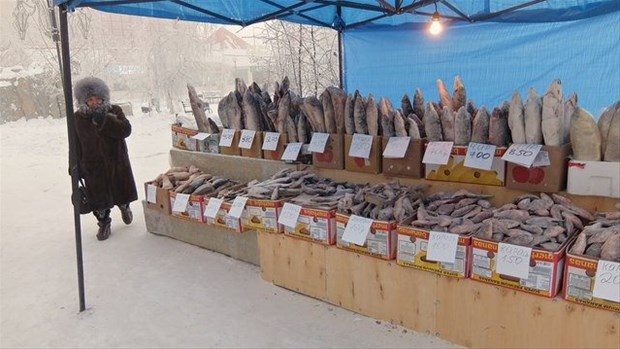 Dünyanın en soğuk şehri: Yakutsk