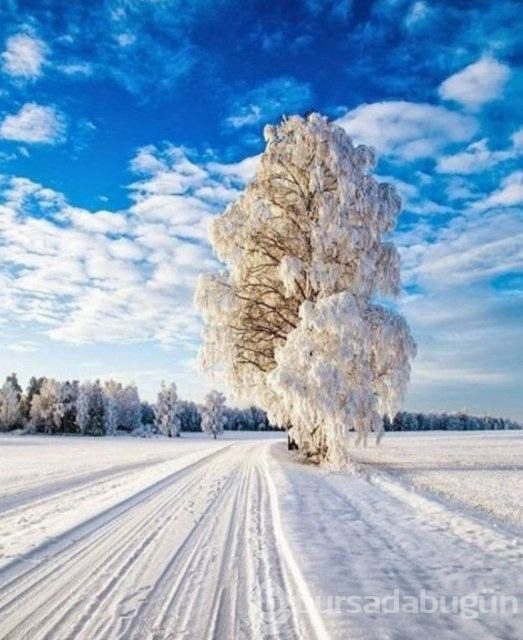 Dünyanın en soğuk şehri: Yakutsk