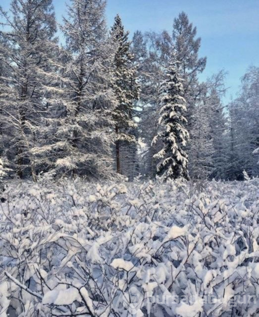 Dünyanın en soğuk şehri: Yakutsk