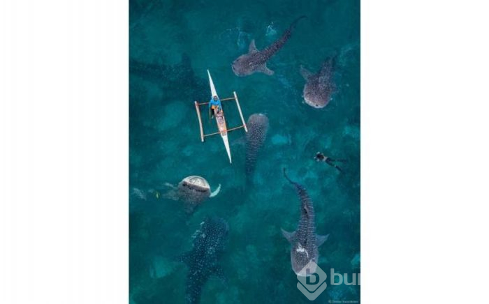 Drone ile çekilmiş ilginç fotoğraflar!
