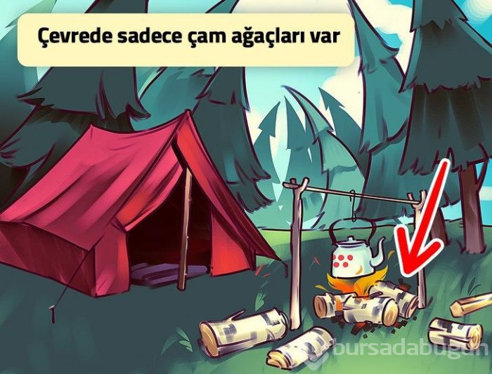 Resimlerdeki yanlışlıkları 1 dakikada anlayabilecek misin? (DİKKAT TESTİ)