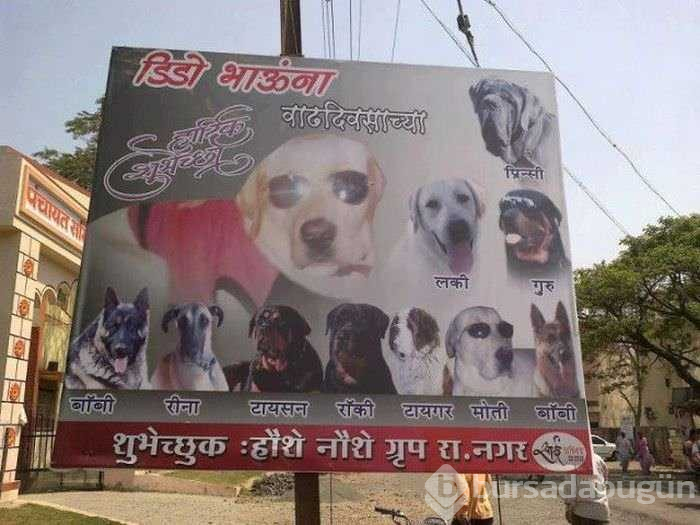 Sadece Hindistan'da görebilirsiniz
