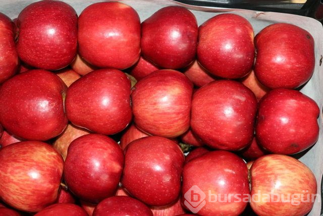 İşte enteresan zeka soruları 
