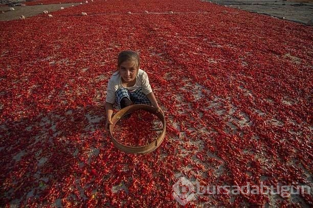 Şanlıurfa'yı gezmek için 10 neden