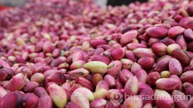 Şanlıurfa'yı gezmek için 10 neden