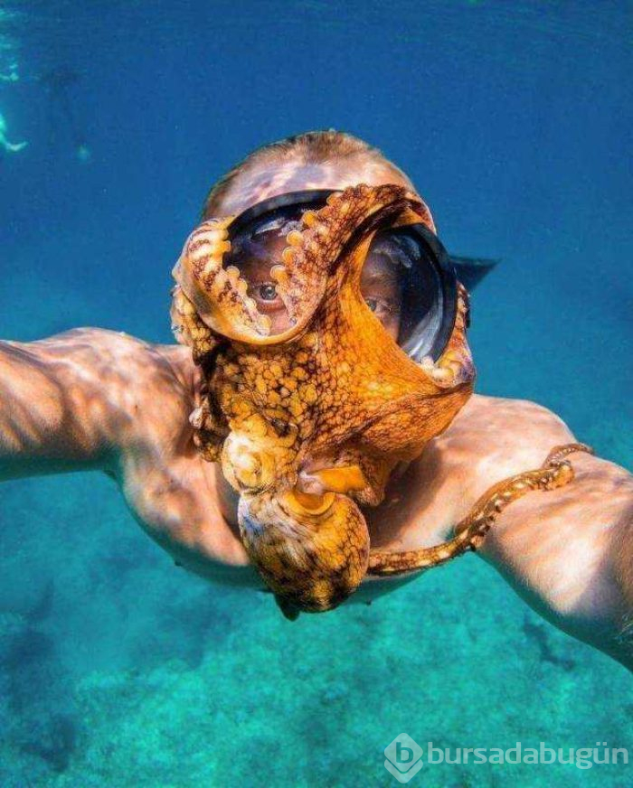 Günün en çok paylaşılan fotoğrafları
