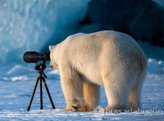 Günün en çok paylaşılan fotoğrafları
