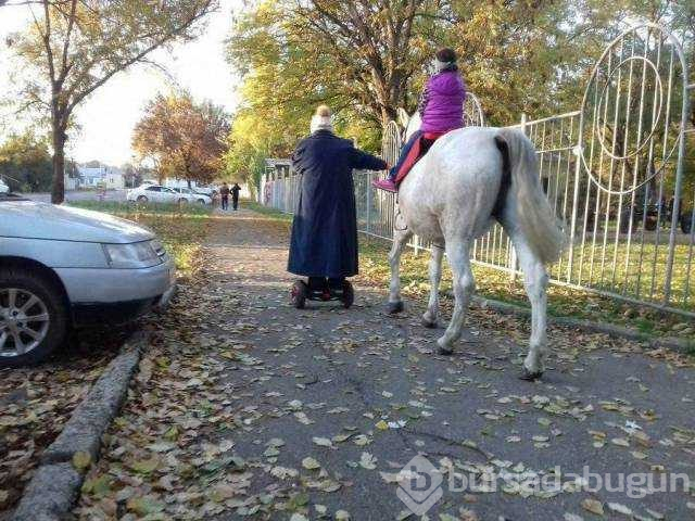 Günün en çok paylaşılan fotoğrafları
