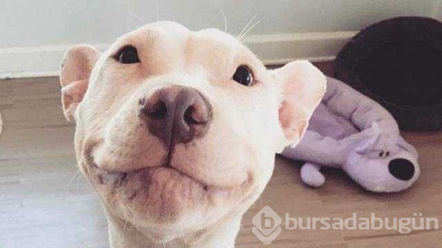 Günün en çok paylaşılan fotoğrafları
