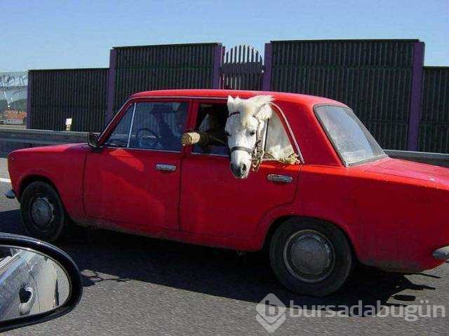 Günün en çok paylaşılan fotoğrafları
