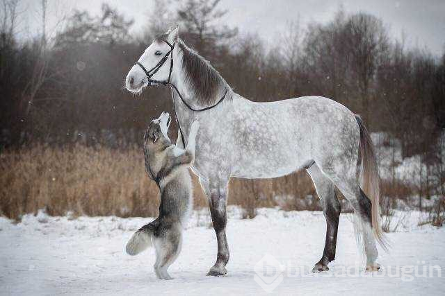 Günün en çok paylaşılan fotoğrafları
