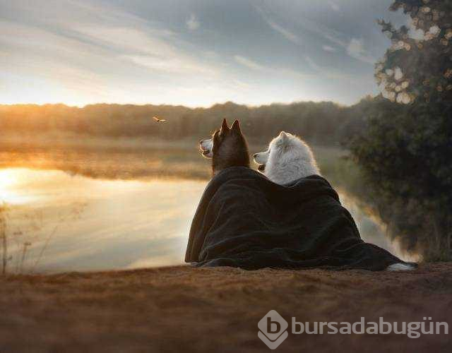 Günün en çok paylaşılan fotoğrafları
