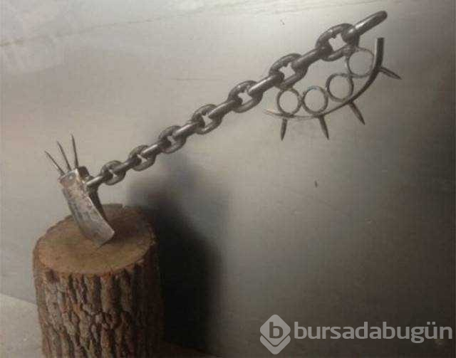 Günün en çok paylaşılan fotoğrafları
