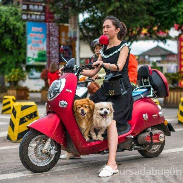 Günün en çok paylaşılan fotoğrafları
