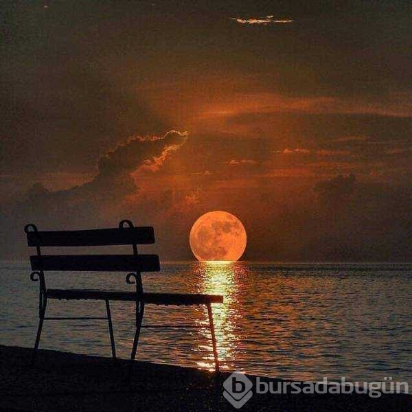 Günün en çok paylaşılan fotoğrafları
