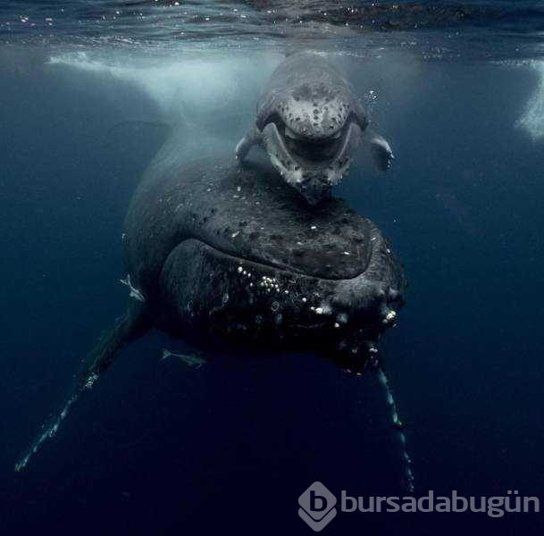 Günün en çok paylaşılan fotoğrafları
