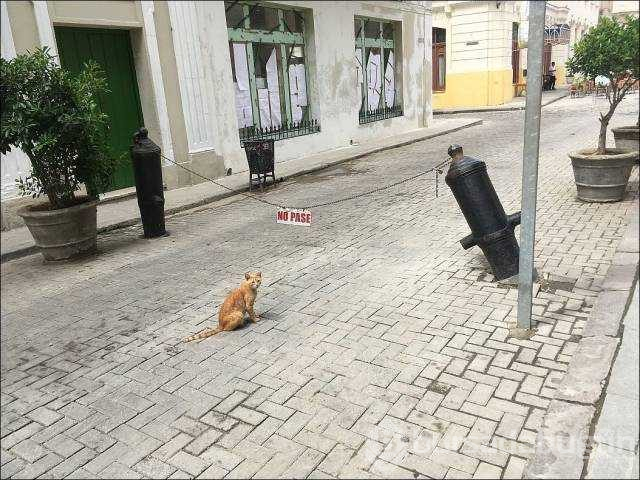 Günün en çok paylaşılan fotoğrafları
