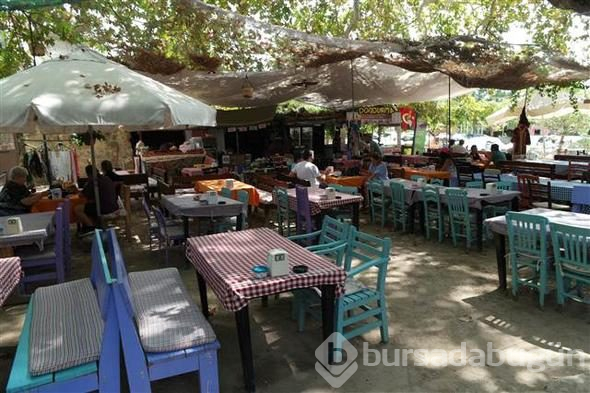 Ahırları bile kafe yaptılar... Evler 3 milyona satılıyor, herkes bu köye gidiyor