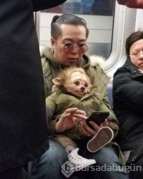 Dünyanın en garip metro yolcuları
