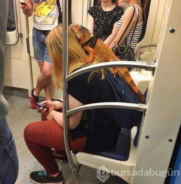 Dünyanın en garip metro yolcuları
