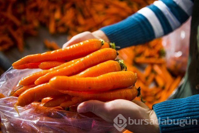 Kanserden koruyan besinler nelerdir?
