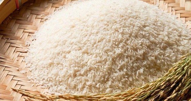 Kanserden koruyan besinler nelerdir?
